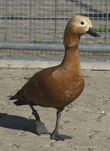们面对未来