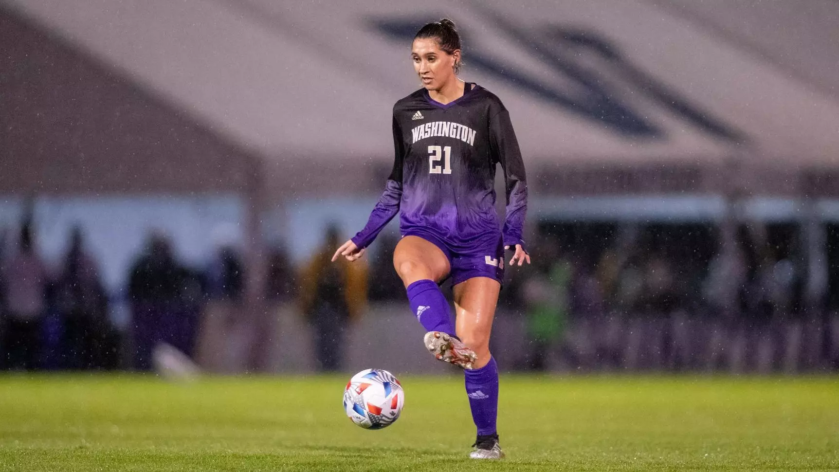 费兰的鲨鱼 费兰的鲨鱼